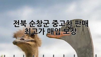 전북 순창군 중고차 판매, 최고가 매입 보장!