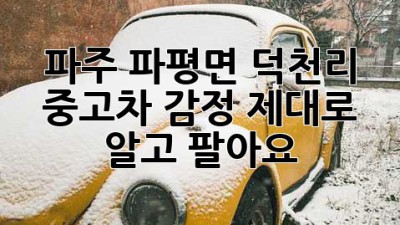 파주 파평면 덕천리 중고차 감정, 제대로 알고 팔아요!